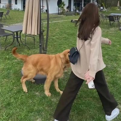 爱芯 第二季